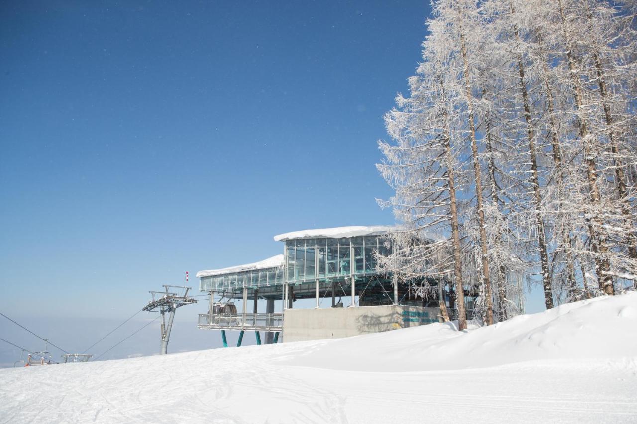 Chaletpark Petzen Hotel Feistritz ob Bleiburg Luaran gambar